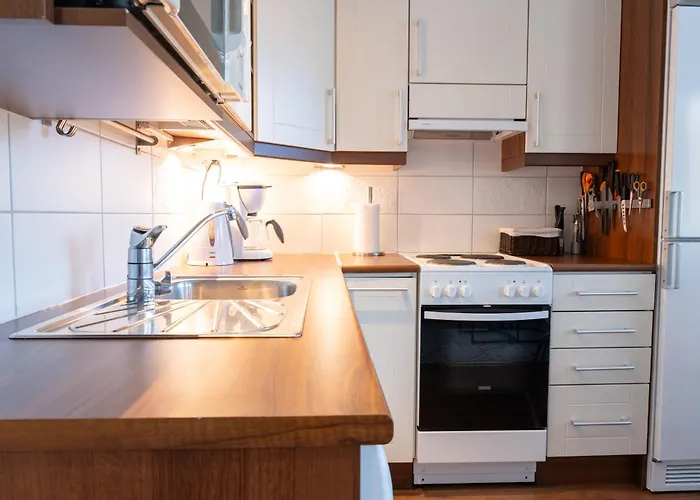 Cozy With Private Sauna And Parking Apartment *